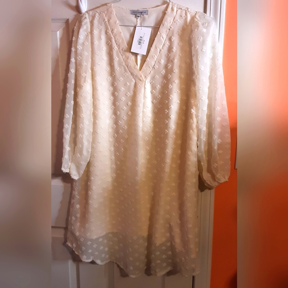 NWT Womens Cream V-neck Shelby Swiss Dotted L/S Dress - Sz. Med